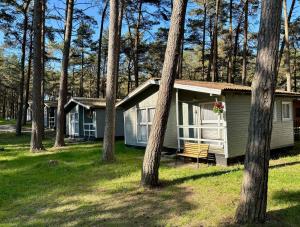 a house in the woods with a bench in front at Leśna Przystań in Pobierowo