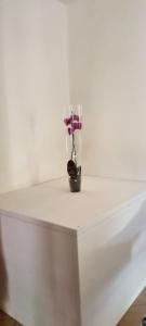 un vaso con dei fiori, seduto su un tavolo. di CASA ORCHIDEA a Portoferraio