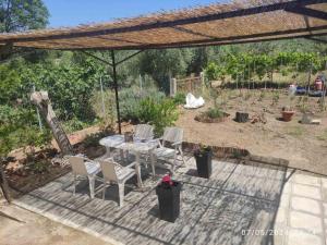 a patio with a table and chairs in a garden at Vaso apartment Limenaria Thasos in Limenaria
