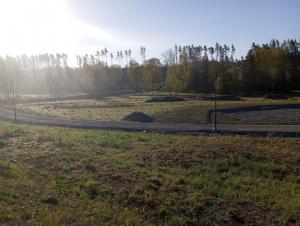 a road in the middle of a field with trees at Chill and stay in Ösmo