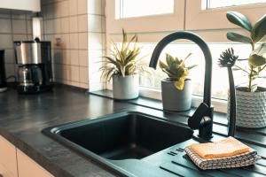 a kitchen sink with a faucet and potted plants at Ferienwohnung Frickenhausen am Main in Frickenhausen +18 photos