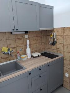 a kitchen with a sink and a counter top at Appa Apartments in Portorož