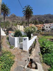 una calle con palmeras y una valla blanca en Casita El Molino im grünen Valle Gran Rey, en Valle Gran Rey