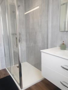 a bathroom with a shower and a white sink at Orvilliers in Moulins