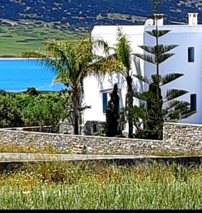 Villa Sofi in Saint George Antiparos (pool&sea) في أنديباروس: مبنى ابيض امامه نخله