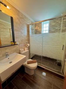 a bathroom with a sink and a toilet and a shower at Theodora’s Studios 2 in Repanídhion