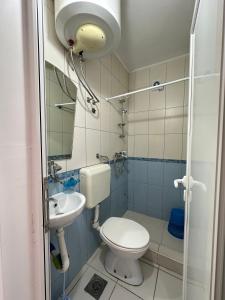 Kopalnica v nastanitvi Apartmani Vukcevic
