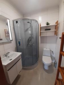 a bathroom with a shower and a toilet and a sink at Domek letniskowy Klimkówka 182 in Ropa +13 photos