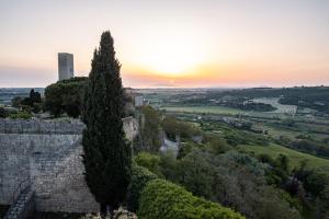 a tree on top of a castle with the sunset in the background at LA TORRE DELLA RIPA in Tarquinia