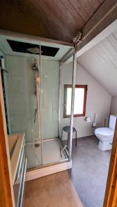 La salle de bains est pourvue d'une douche en verre et de toilettes. dans l'établissement Au bon endroit -- Chambre chez l'habitant -- Via Rhona, 