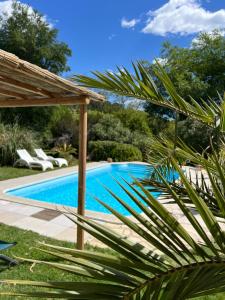 a swimming pool in a yard with chairs and a palm tree at La Belle Rivière in Salernes