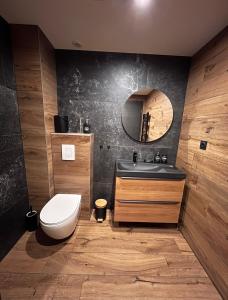 a bathroom with a toilet and a sink and a mirror at Zen&spa appartement avec jacuzzi et sauna privatif in Aspach-le-Bas