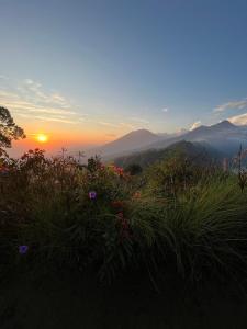 a sunset in the mountains with a field of flowers at Bali Sunrise Cabin in Bangli