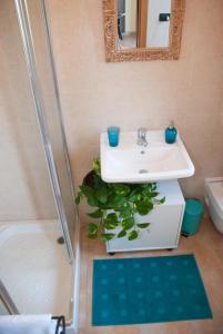 ein Badezimmer mit einem Waschbecken und einer Pflanze in der Unterkunft Casa Dèlfico Ristoro in famiglia in Teramo
