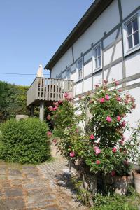 a white building with pink roses in front of it at Apartmenthaus Brunnenhof in Papstdorf