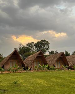 um grupo de bungalows com telhados de relva num campo em Tropical Hampi em Hampi
