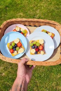a person holding three plates of fruit on a picnic basket at Posed Kubík in Žďár nad Sázavou +33 photos