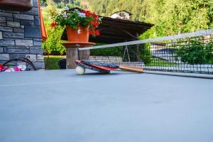 Tenis alebo squash v ubytovaní Apartment Rotbühlspitze alebo jeho okolí