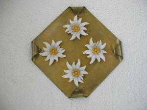 Fotografia z galérie ubytovania Apartment Rotbühlspitze v destinácii Sankt Gallenkirch
