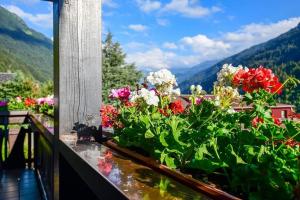 Výhľad na hory alebo výhľad na hory priamo z apartmánu