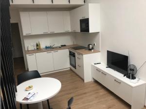 Kuchyň nebo kuchyňský kout v ubytování Mezonet - Postovska Centr Apartments