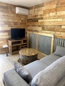TV a/nebo společenská místnost v ubytování Appartement de la maison rouge