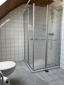 a bathroom with a shower and a toilet at NEU! Ferienwohnung Up de Warf in Dornum