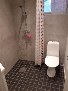 a bathroom with a toilet and a shower at - Schönes kleines Apartment zum Schlafen - in Moholm
