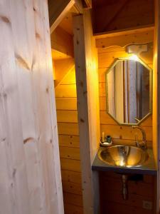 un baño con lavabo y espejo en Studio Tiny en duplex - face télécabines, en Ax-les-Thermes