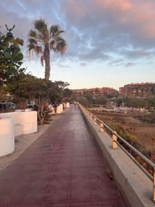 a walkway with a palm tree in the distance at Arenita Apartment in Palm-Mar