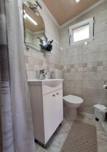 a bathroom with a sink and a toilet and a mirror at Kućica na Drini "JAZ" in Višegrad