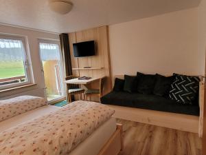 1 dormitorio con 1 cama y TV. en Gasthaus Pension Donishäusle, en Titisee-Neustadt