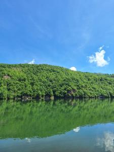 ヴィシェグラードにあるKućica na Drini "JAZ"の木々を背景に流れる川の眺め