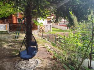 a swing hanging from a tree in a yard at SEZATOAREA LUPILOR in Lepşa