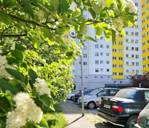 kilka samochodów zaparkowanych na parkingu w obiekcie visit baltic - Green Apartment - Chrobrego 02 w Świnoujściu