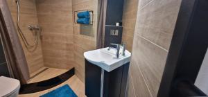 Un baño con lavabo, ducha e inodoro. en Studio Apartment Aurora, en Škofljica