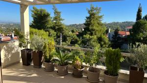 uma fila de vasos de plantas numa varanda com árvores em Dionisos luxury apartment em Atenas