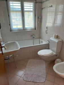 La salle de bains est pourvue d'une baignoire, de toilettes et d'un lavabo. dans l'établissement La Preferita, à Magadino