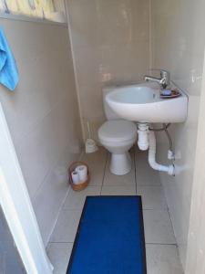 een kleine badkamer met een toilet en een wastafel bij Pie Garozas in Lapmežciems