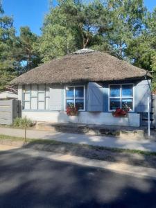 a small blue house with a thatched roof at Pie Garozas in Lapmežciems