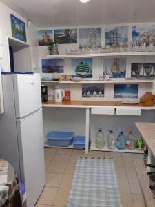 a kitchen with a counter and a refrigerator at Pie Garozas in Lapmežciems