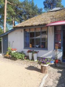 a small house with flowers in front of it at Pie Garozas in Lapmežciems +9 photos