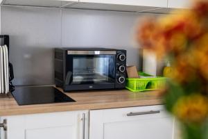 a microwave sitting on a counter in a kitchen at Ferienwohnung 2 Am Rodelberg in Priborn