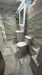 ein Badezimmer mit einem weißen WC und einem Waschbecken in der Unterkunft Piata Ovidiu Square in Constanţa