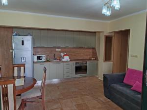 Kuchyň nebo kuchyňský kout v ubytování Apartment Bane