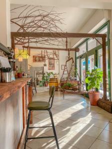 un bar con una sedia in una stanza con piante di Ennesima Osteria con Alloggio - Bike Hotel a Toscolano Maderno
