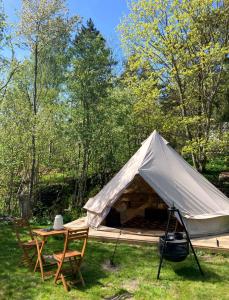 Příroda nedaleko luxury tent + 24 fotografií