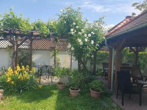 Zahrada ubytování Pension Zelený strom