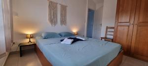ein Schlafzimmer mit einem blauen Bett mit zwei Handtüchern darauf in der Unterkunft Corse Villa bord de mer in Cervione + 19 Fotos