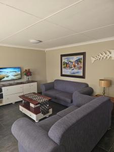 sala de estar con 2 sofás y TV en Amberdale Estate Self Catering, en Queenstown